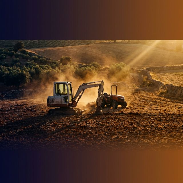 Mini excavadora